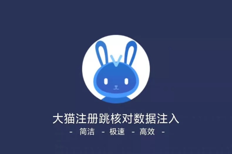抖音大猫注册核对工具【卡密版】-龙祁智能体社区