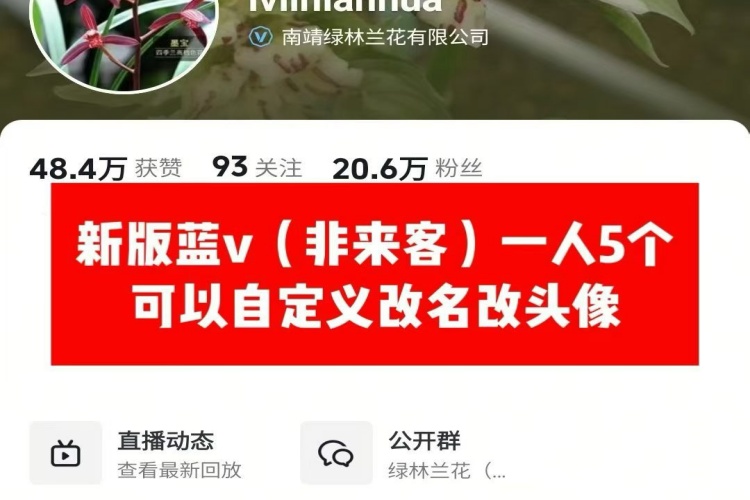 抖音新版蓝V一人实名五个号-龙祁智能体社区