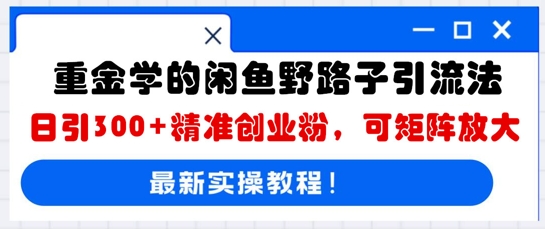 重金学的闲鱼野路子引流法，日引300+精准创业粉，可矩阵放大-龙祁智能体社区